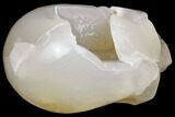 Polished Agate Skull with Druzy Quartz Crystal Pocket #148089-1